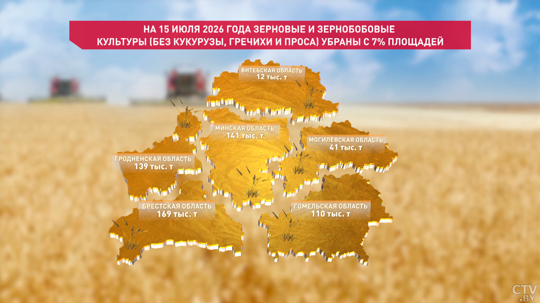 В Беларуси зерновые и зернобобовые без кукурузы, гречихи и проса убраны с 7% площадей – Минсельхозпрод-2