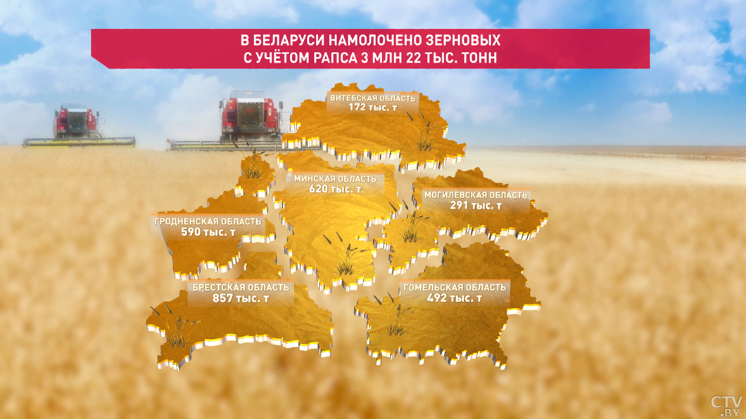 Белорусские аграрии намолотили более 3 млн тонн зерна с учетом рапса-2