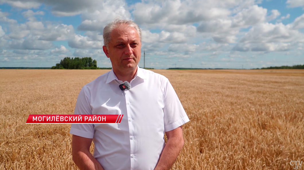 Девятая жатва на двоих! Профсоюзы вручили награду семейному экипажу Данильченко-8
