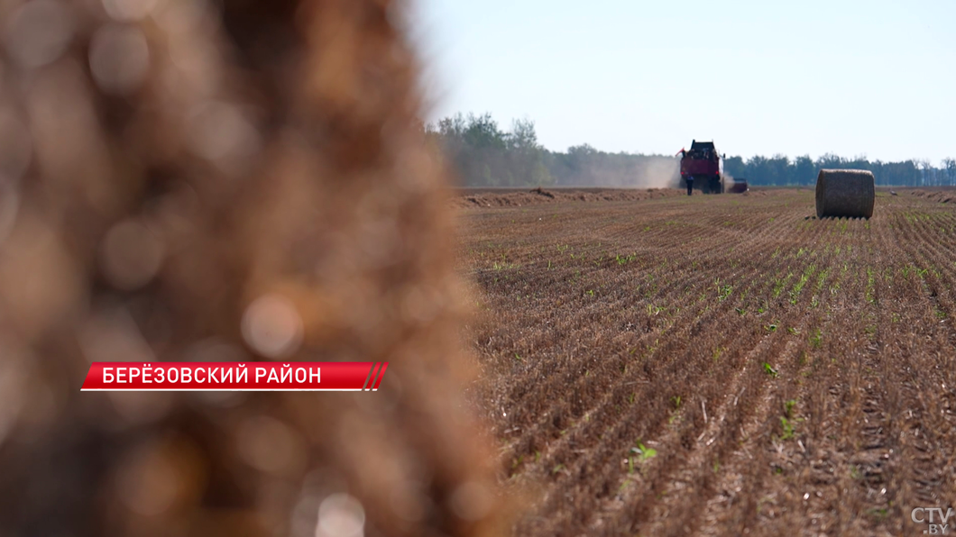 Лукашенко в Березовском районе продемонстрировали отечественный пресс-подборщик -2 Лукашенко в Березовском районе продемонстрировали отечественный пресс-подборщик -2