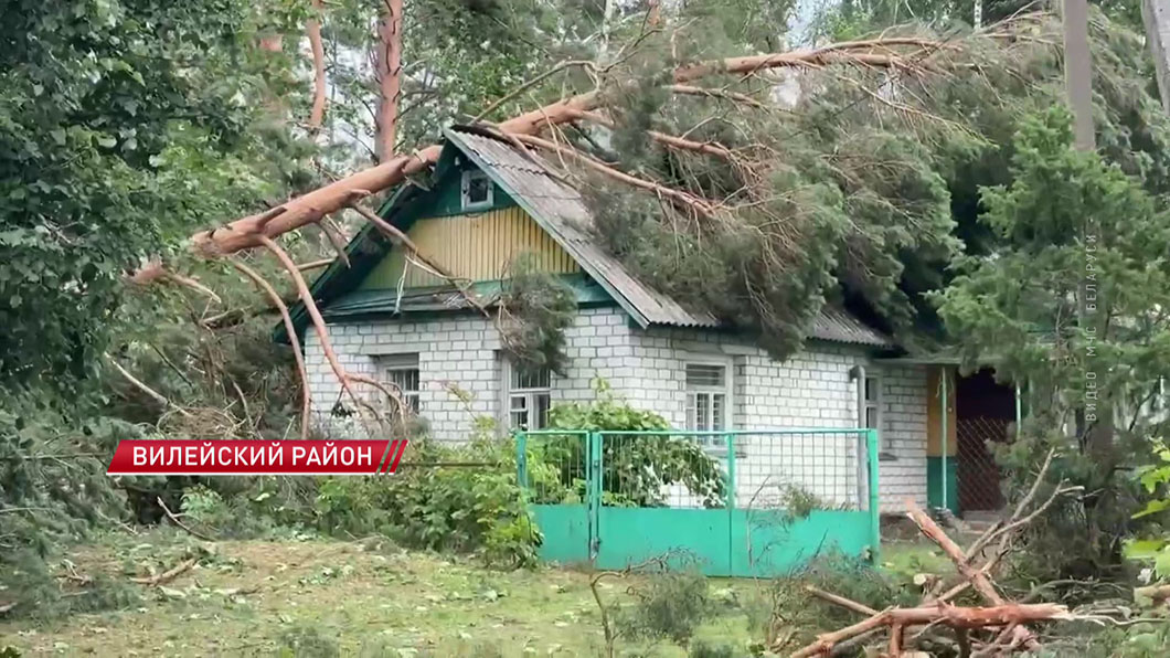В Вилейском районе восстанавливают электроснабжение в 19 населенных пунктах-2 В Вилейском районе восстанавливают электроснабжение в 19 населенных пунктах-2