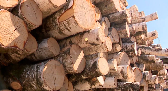 В Латвии ограничили продажу гранул для печей