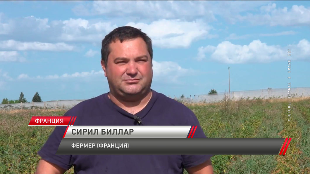 40 млрд евро убытков в год! Что ждет Европу в связи с засухой? -4