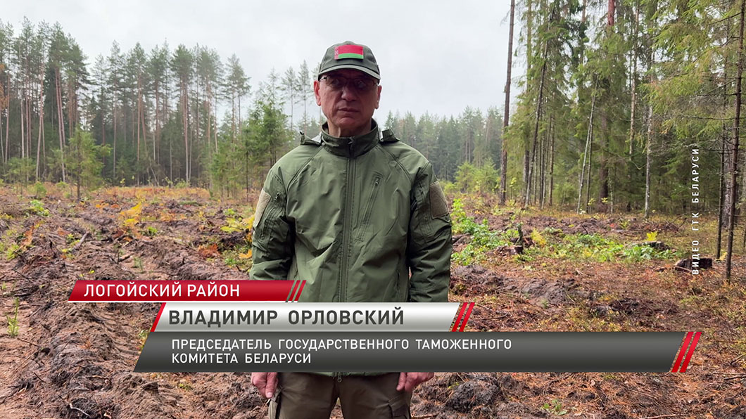 «Дай лесу новае жыццё». Как масштабная акция помогает восполнить «зеленые» потери Беларуси?-8