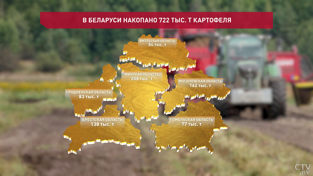 Аграрии Беларуси накопали 722 тыс. тонн картофеля-2