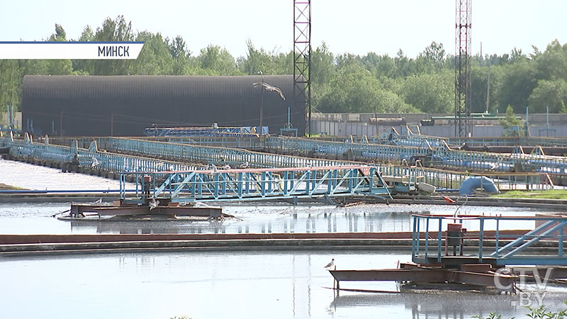 Кубок Беларуси по прыжкам в воду стартовал в спорткомплексе «Олимпийский» в Минске