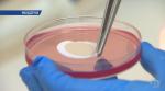 Формула чистой воды. Почему белорусские эпидемиологи призывают пока не пить колодезную воду?