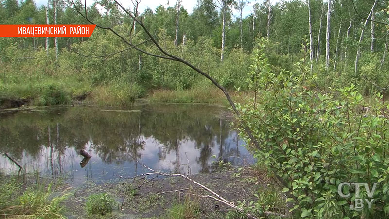 По номерам на двигателе можно узнать о составе экипажа. Фрагменты самолёта времён войны нашли в Ивацевичском районе-3