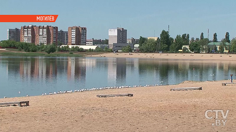 Осторожно, кишечная палочка! Санэпидслужбы Могилёва запретили детям купаться во всех водоёмах города-23