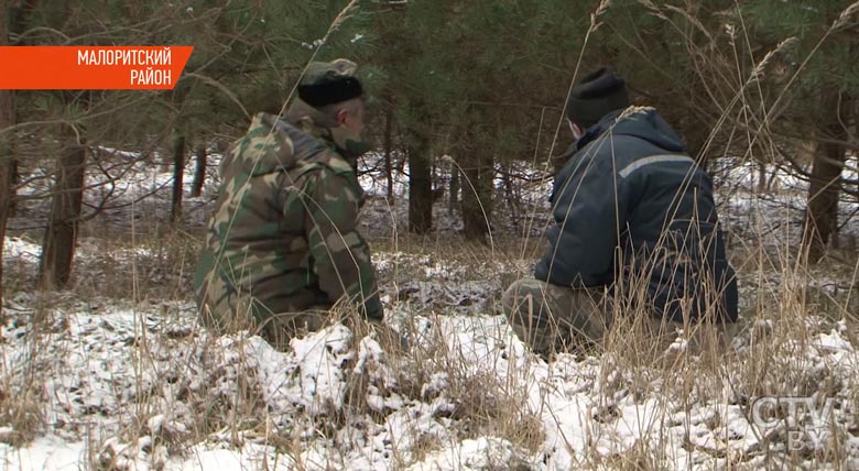 «Боимся, конечно, вечером ходить». В Малоритском районе волки вплотную подходят к домам людей-1