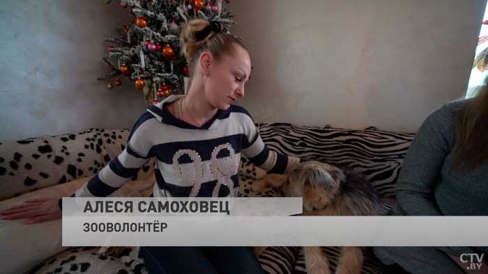 «У меня в один момент было 13 собак». Эти волонтёры часто спасают бездомных животных-4 «У меня в один момент было 13 собак». Эти волонтёры часто спасают бездомных животных-4