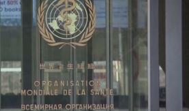 ВОЗ передала Беларуси наборы для проведения 6 тысяч тестов на COVID-19