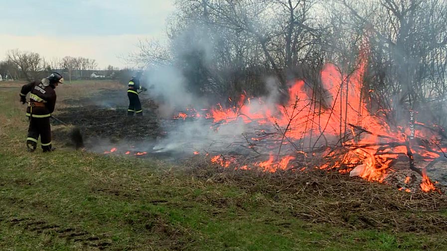 Мужчина сжигал сучья, загорелась трава. В Минской области ликвидировали пожар