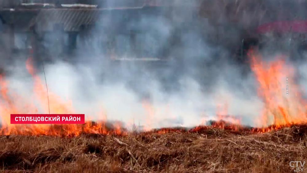 Мужчина сжигал сучья, загорелась трава. В Минской области ликвидировали пожар-4