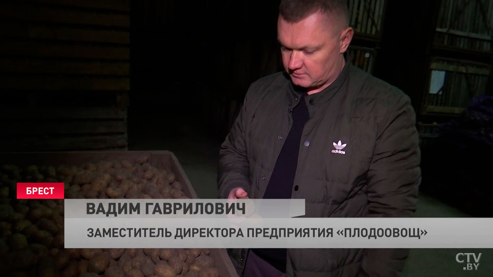 «Все закрома у нас забиты, будем реализовывать круглый год». В Брестской области идёт заготовка овощей на зиму-1 «Все закрома у нас забиты, будем реализовывать круглый год». В Брестской области идёт заготовка овощей на зиму-1