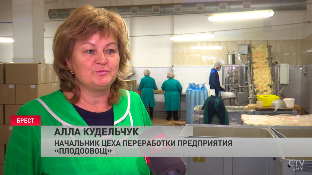 «Все закрома у нас забиты, будем реализовывать круглый год». В Брестской области идёт заготовка овощей на зиму-16