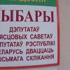 Самые активные – минчане: итоги второго дня выборов в местные Советы депутатов -3