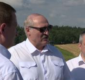 Александр Лукашенко: «В Минске некоторые пивко посасывают на скамейке, потом возбудились, побегали, опять сели, выпили»