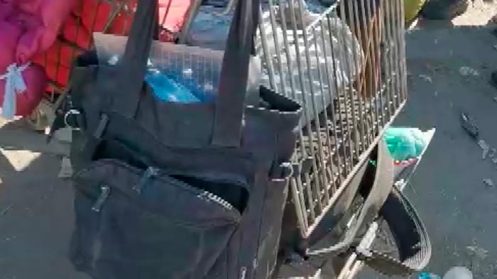 В продуктовой тележке. Жена вывезла мужчину без ног из осаждённого Мариуполя