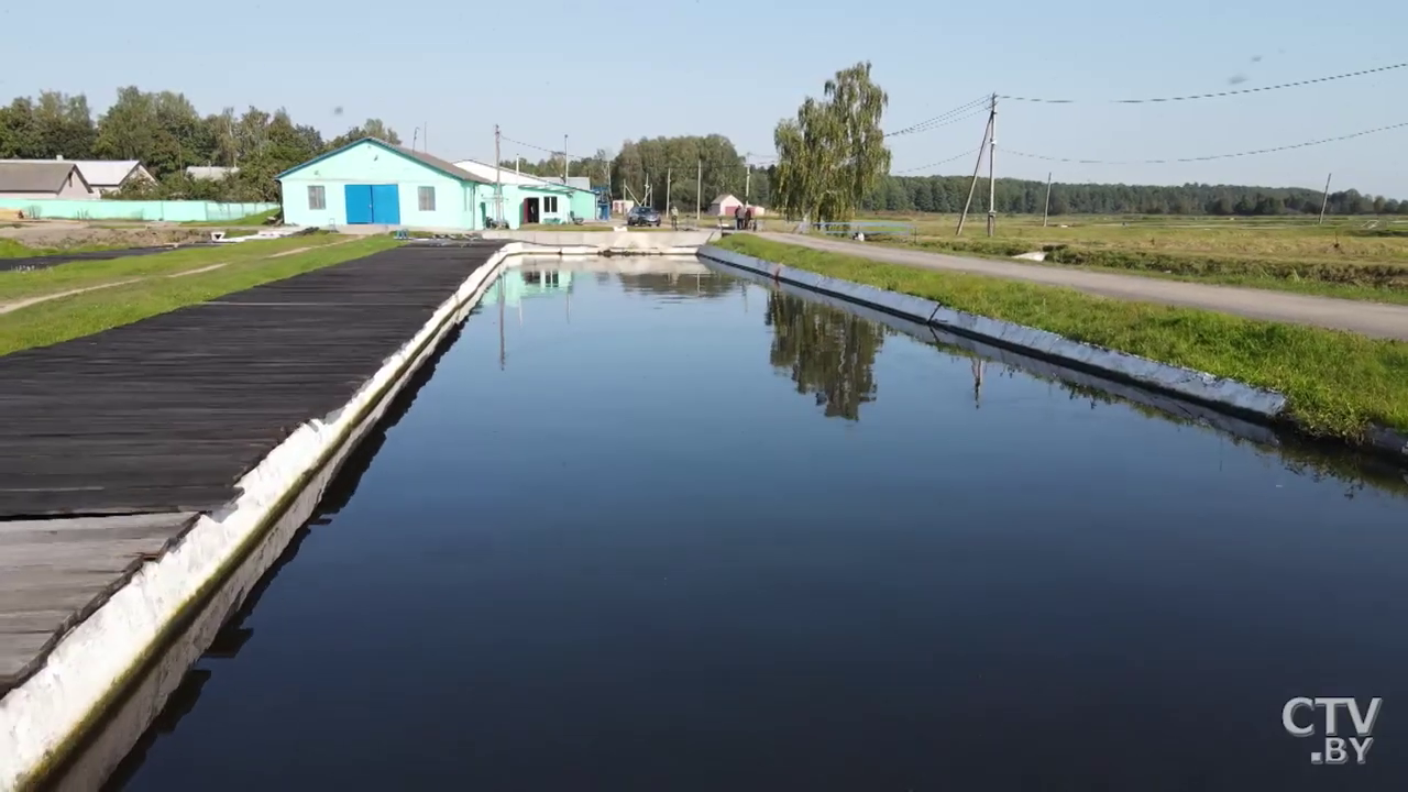 Каждую весну у осетров по плану УЗИ. Где и как выращивают редкие виды рыбы в Беларуси -25