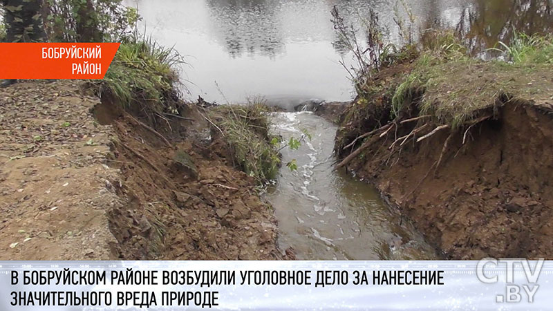 Соорудил канал и слил воду из двух водоёмов. В Бобруйском районе завели уголовное дело на мужчину за нанесение вреда природе-1