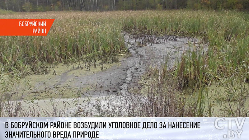 Соорудил канал и слил воду из двух водоёмов. В Бобруйском районе завели уголовное дело на мужчину за нанесение вреда природе-7