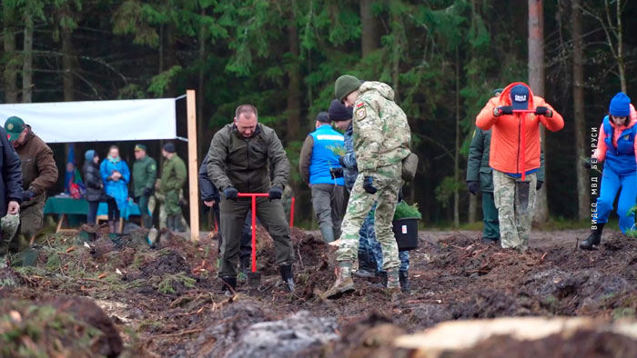 Правоохранители и молодое поколение подключились к акции «Аднавім лясы разам!» – высадили сосны и лиственницы