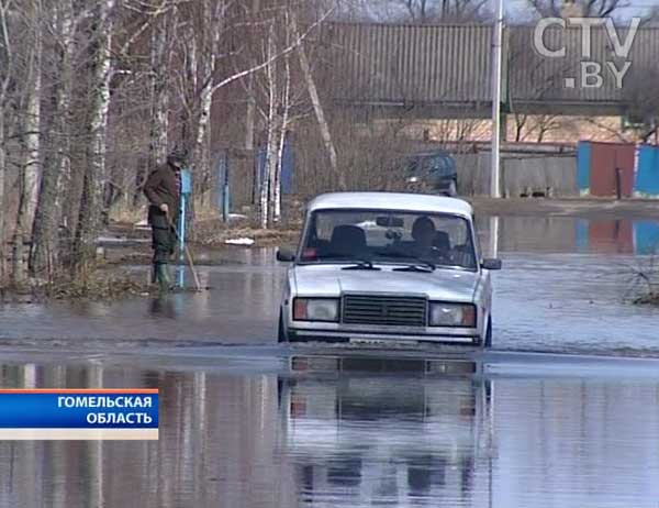 В деревне Вышемир  (Гомельская область) затоплена целая улица