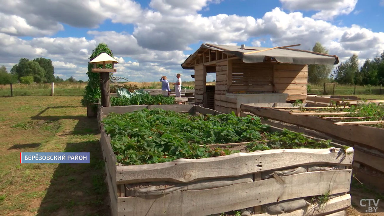 Высокие грядки – ноу-хау от гражданина Германии, огородным трендам он обучает белорусов-4