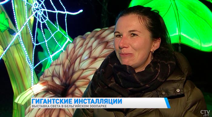 На создание инсталляций ушло 22 тысячи LED-лампочек. В бельгийском зоопарке проводят выставку света-4