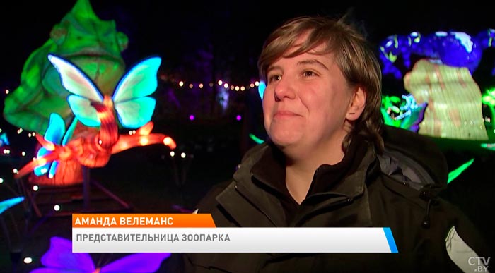 На создание инсталляций ушло 22 тысячи LED-лампочек. В бельгийском зоопарке проводят выставку света-7
