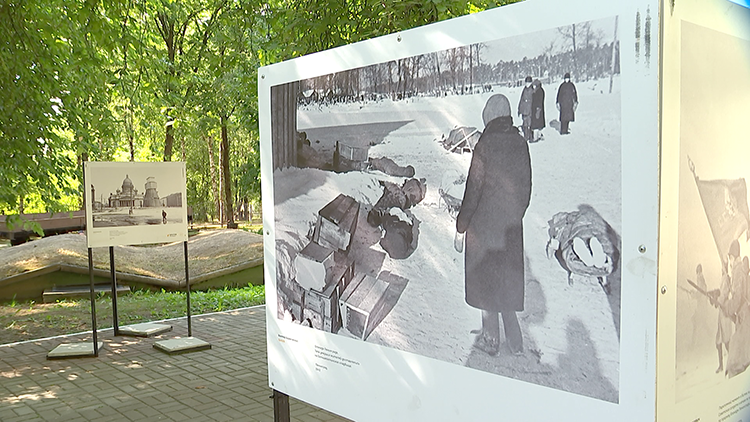 «На фоне этой фотографии невозможно стоять спокойно». Показываем выставку документальных кадров времён ВОВ
