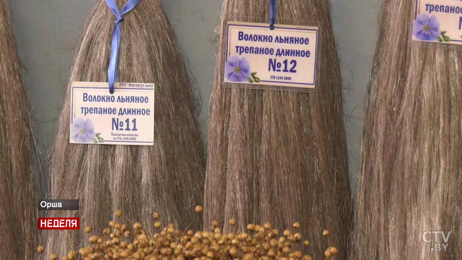 Каждый мог себя попробовать в том, что интересно. Вот как фестиваль «Вытокі» привлёк белорусов к спорту-1 Каждый мог себя попробовать в том, что интересно. Вот как фестиваль «Вытокі» привлёк белорусов к спорту-1