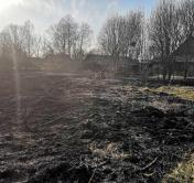 На Могилёвщине при выжигании сухой травы одна пенсионерка погибла, ещё две пострадали