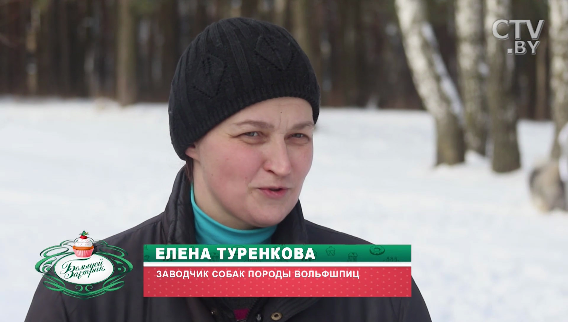 «Породу выбирают ценители»: что нужно знать тем, кто хочет завести вольфшпица -1
