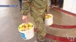 Богатый урожай: заготовители Минской области активно закупают яблоки у населения