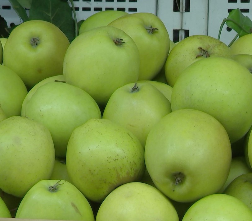 Эти продукты всегда под рукой. 9 вариантов сытных перекусов-1