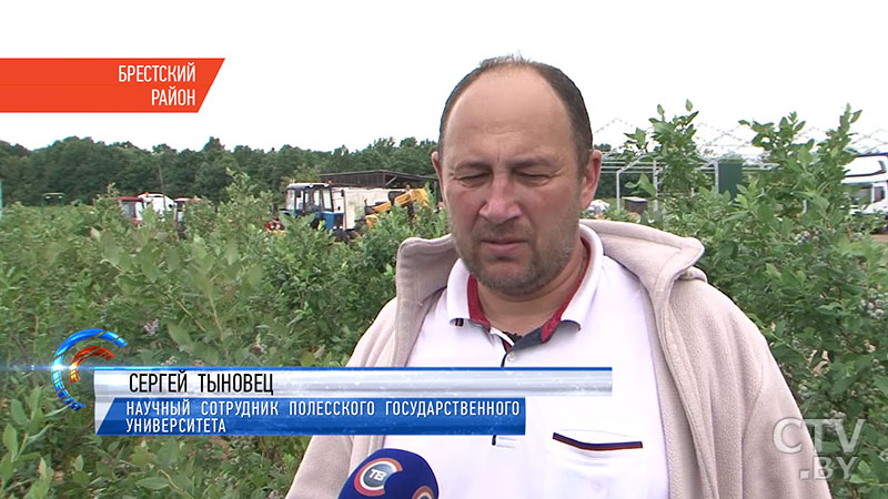 «Очень впечатляет. У вас по-хозяйски все»: фермеры из Украины  приехали в Беларусь, чтобы узнать местные традиции выращивания ягод-27