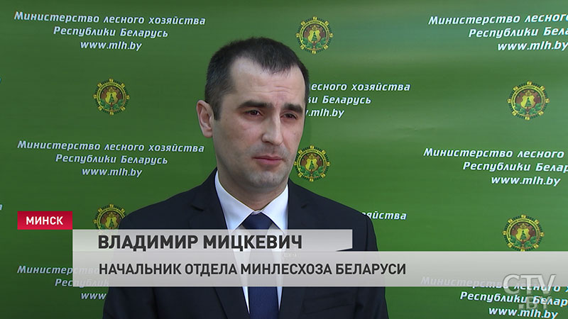 В Беларуси отменили запрет на сбор ягод при помощи комбайнов-6