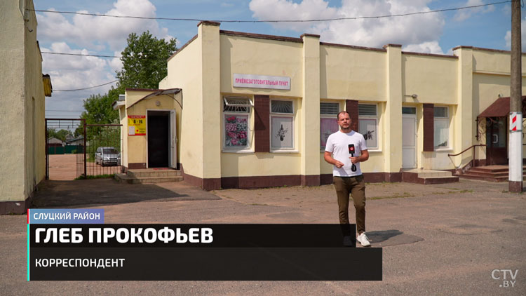 За один день 50 рублей? Узнали, сколько можно заработать на сборе ягод и грибов-1