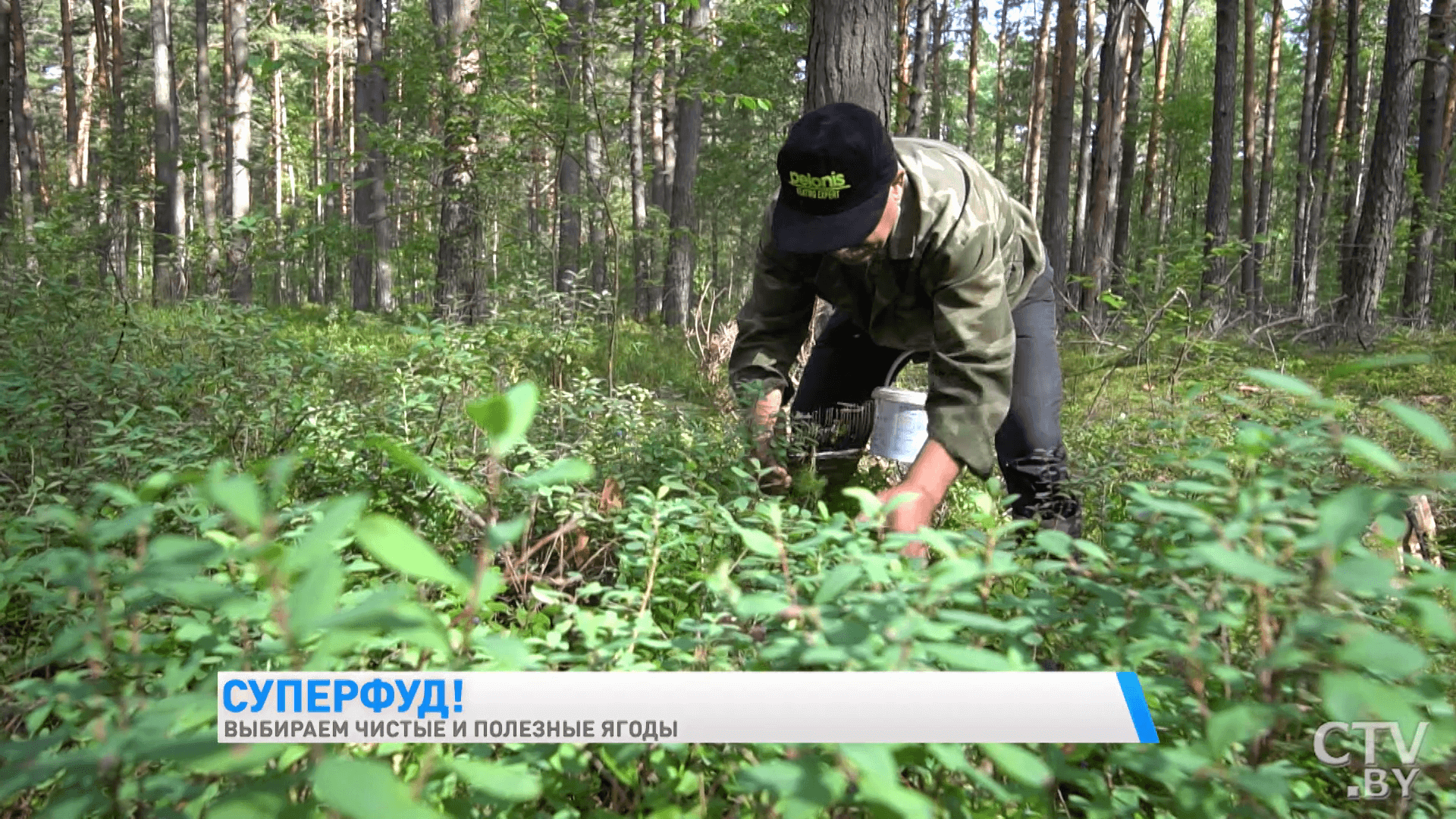 В каких местах лучше не собирать ягоды и где их проверить на радиацию?-22