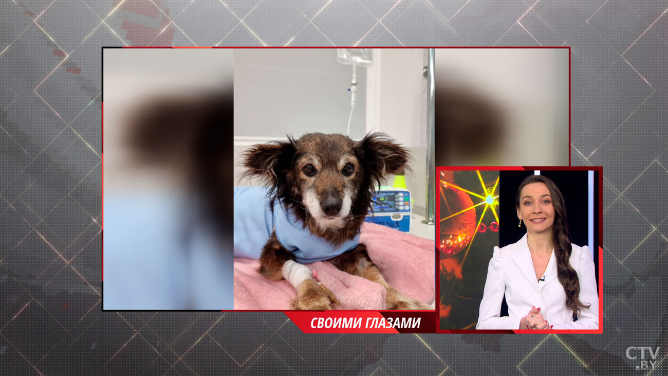 «2021-й я встречала, взяв быка за рога. Причём буквально». Журналистка СТВ рассказала, каким был уходящий год для неё-25