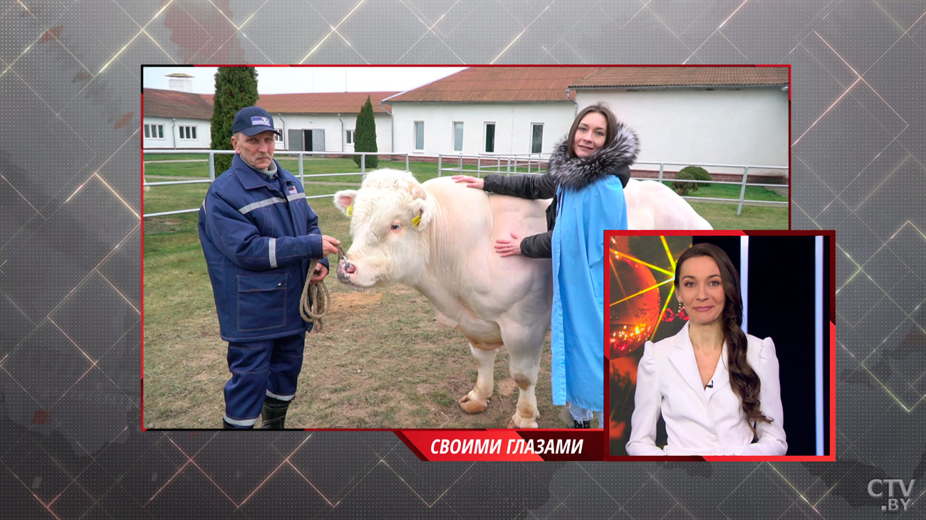 «2021-й я встречала, взяв быка за рога. Причём буквально». Журналистка СТВ рассказала, каким был уходящий год для неё-1