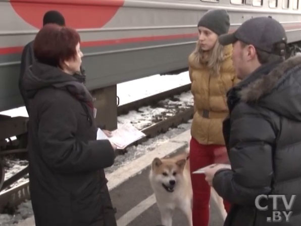 Как перевезти собаку в поезде: сколько стоит и какие документы нужны?-4 Как перевезти собаку в поезде: сколько стоит и какие документы нужны?-4