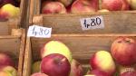 На выходных у «Чижовка-Арены» пройдёт большая ярмарка: продукцию представят предприятия Витебской области