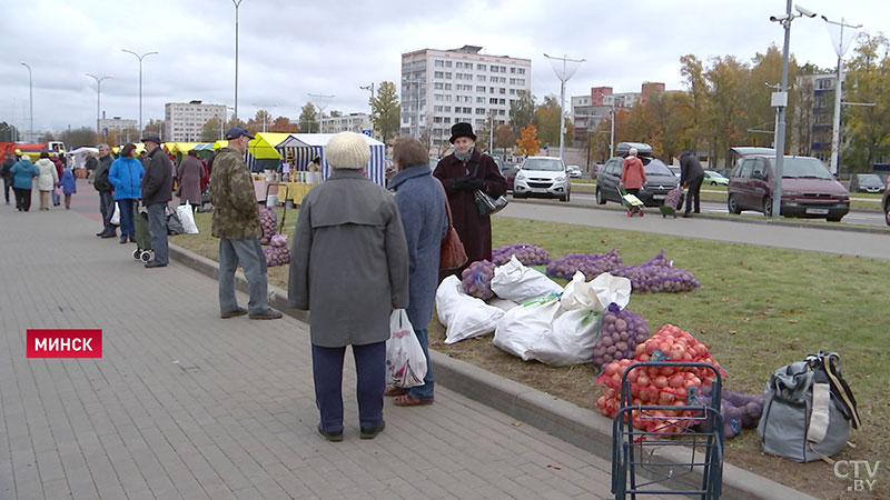 Они сражались за нас, теперь мы им помогаем. Активисты БРСМ доставляют покупки с сельхозярмарок по всей Беларуси-1