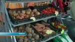 Две масштабные сельскохозяйственные ярмарки пройдут в эти выходные в Минске: где и до скольки