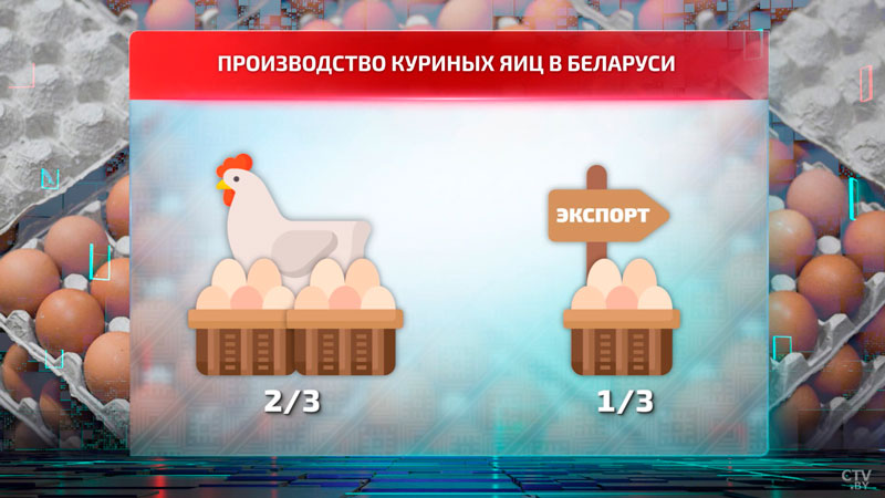 В России взлетевшие цены на яйца – главная тема недели. А что в Беларуси?-22