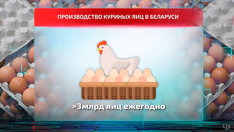 В России взлетевшие цены на яйца – главная тема недели. А что в Беларуси?-19
