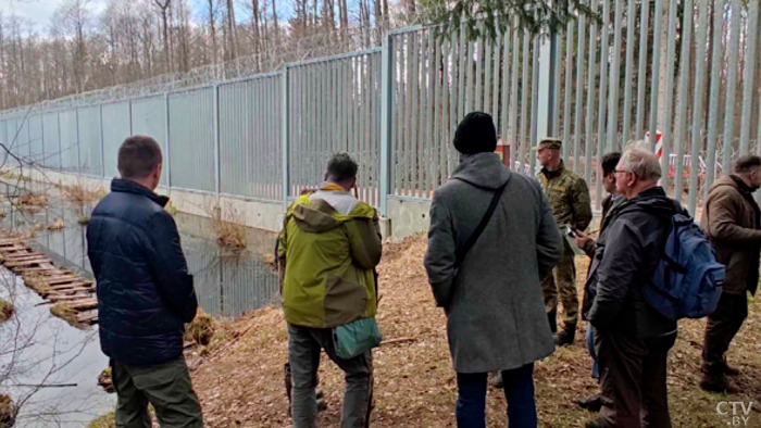 Польский забор убивает Беловежскую пущу! Что рассказала мониторинговая миссия о состоянии заказника?-4